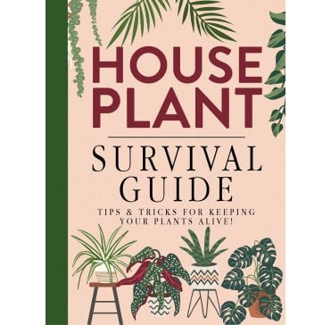 Houseplant Survival Guide