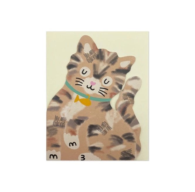 Tabby Kitten