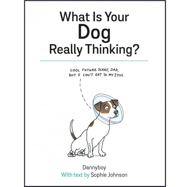 What Is Your Dog Really Thinking
