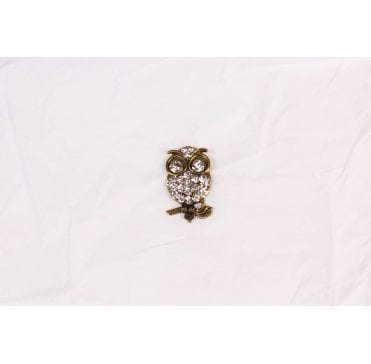 TwittTwoo Owl Broach